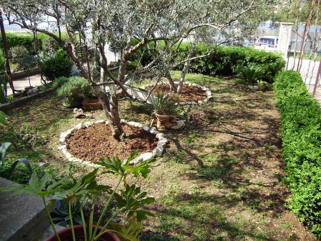 Apartament Kapetanovi Dvori